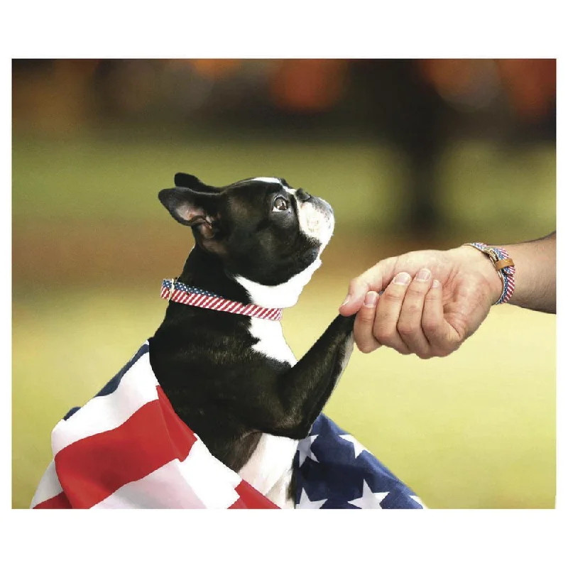 Timeless Jewelry At Special Discount Rates Presidential Dog Friendship Collar & Bracelet Set