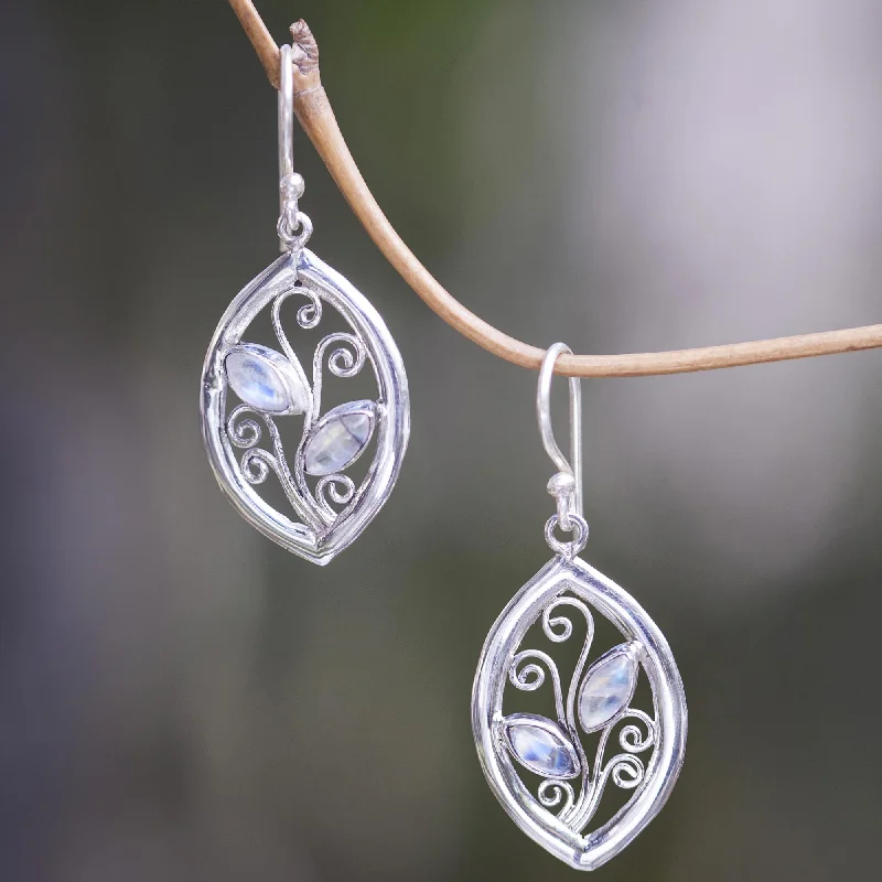 Jewelry Sale Alert – Shop Timeless Elegance Today Paradise Leaves 925 Sterling Silver Leaf Earrings with Rainbow Moonstone Jewelry Sale Alert – Shop Timeless Elegance Today Paradise Leaves 925 Sterling Silver Leaf Earrings with Rainbow Moonstone